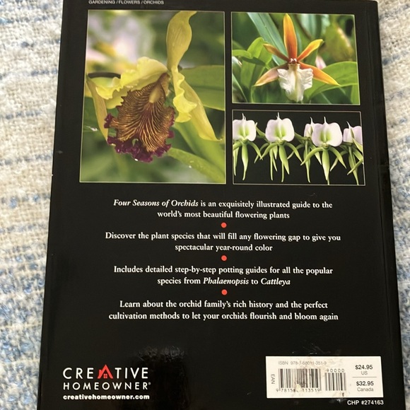 FOUR SEASONS OF ORCHIDS - Picture 10 of 10